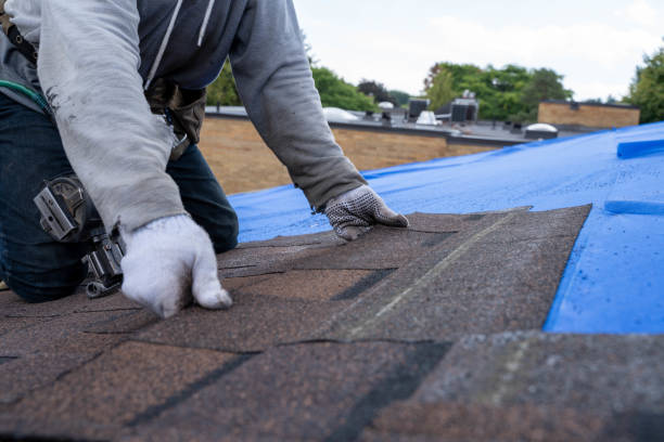 Best Metal Roofing Contractor  in Wamac, IN